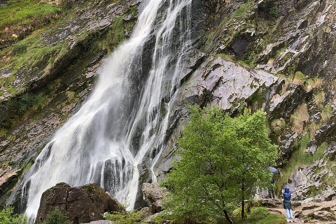 Day Tour from Dublin: Wicklow Mountains, Glendalough, Powerscourt - Who Will Enjoy This Tour?