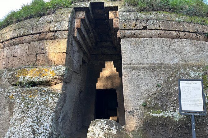 Day tour from Rome to the Etruscan necropolis of Tarquinia and Cerveteri - Key Points