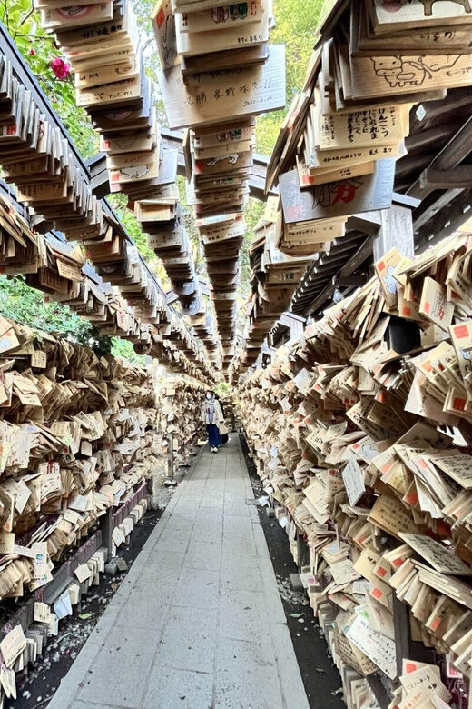 Day Tour from Tokyo : Experience Kawagoe and Edo Japan - Key Points