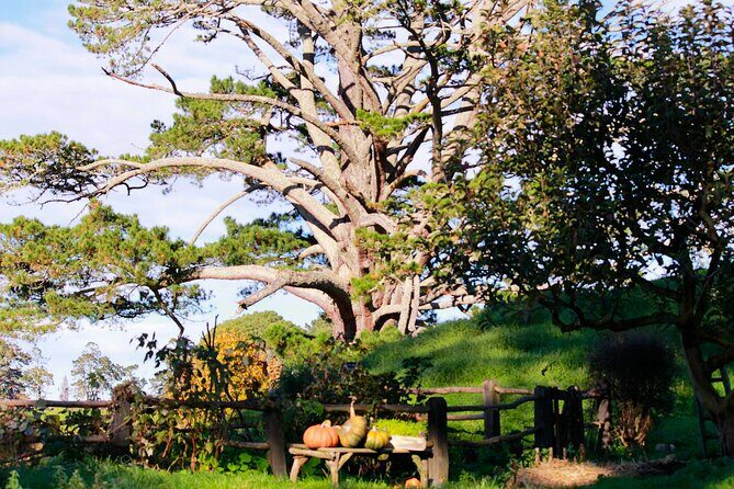 Day Tour Hobbiton + Rotorua from Auckland in Luxury Minibus - FAQ