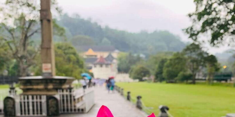 Day tour In Awesome Kandy City from Colombo - Key Points