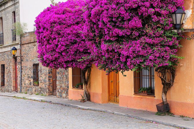 Day Tour in Colonia del Sacramento - Exploring the Day Tour in Colonia del Sacramento: An Honest Guide