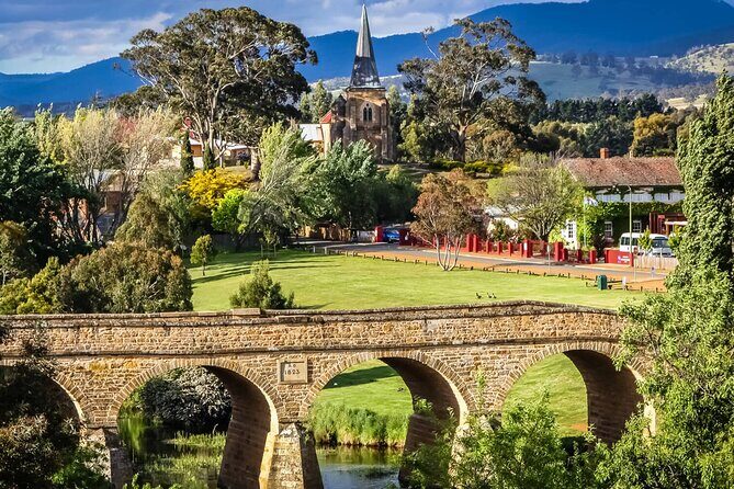 Day Tour in Mt. Field, Mt. Wellington, Bonorong Wildlife Sanctuary and Richmond - Transportation and Comfort