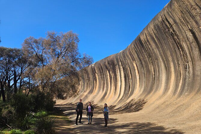 Day Tour in Wave Rock and Mulka's Cave - Exploring Western Australia’s Iconic Natural Landmarks: Wave Rock and Mulka’s Cave Day Tour