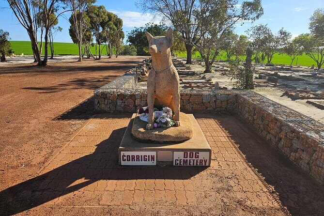Day Tour in Wave Rock and Mulka's Cave - Key Points