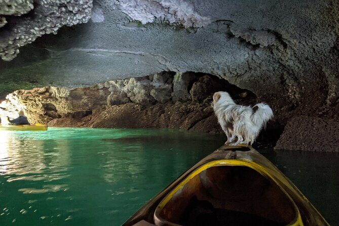 Day Tour: Kayak & Snorkel Boat Tour of Ha Long Bay - Who Is This Tour Best For?