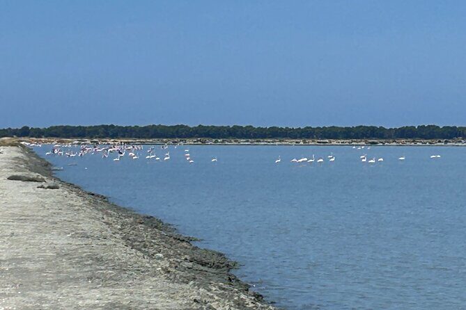 Day tour of Apollonia Park, Vlore and Narta from Tirana&Durres - FAQs