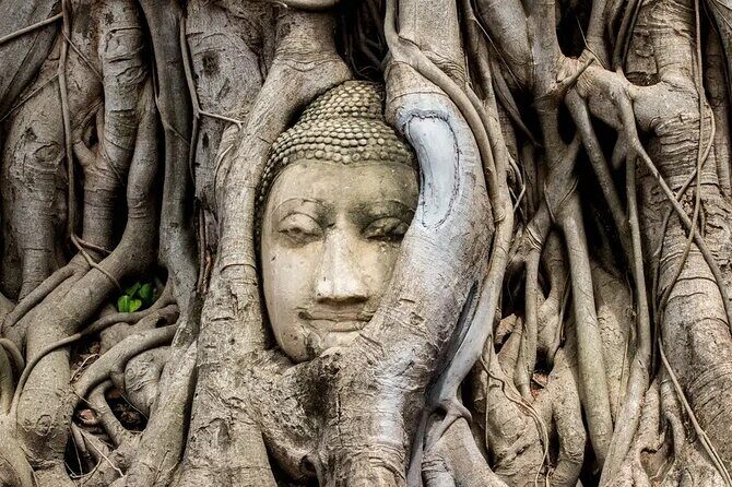 Day Tour of Ayutthaya and Bang Pa-In - Key Points