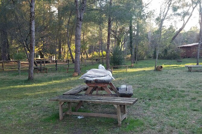 Day Tour of Berat and Karavasta Lagoon from Tirana&Durres - The Sum Up