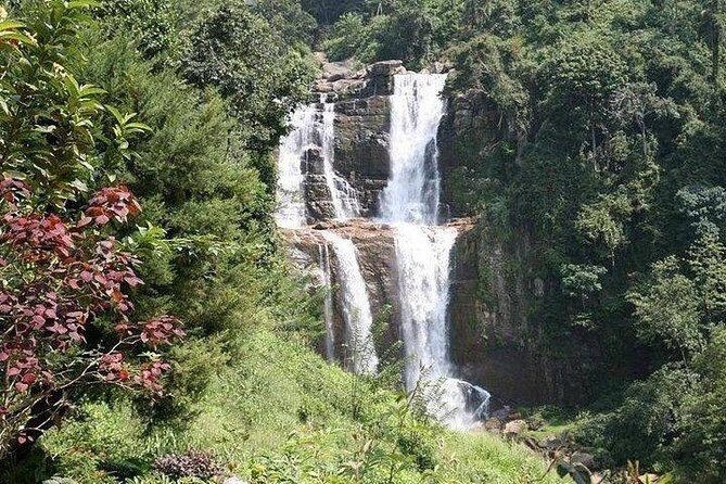 Day Tour of Nuwara Eliya - A Closer Look at the Nuwara Eliya Day Tour