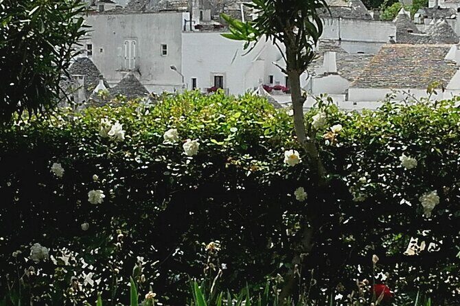 Day Tour of Ostuni, Martina Franca, Alberobello from Bari - Why We Think this Tour Works Well