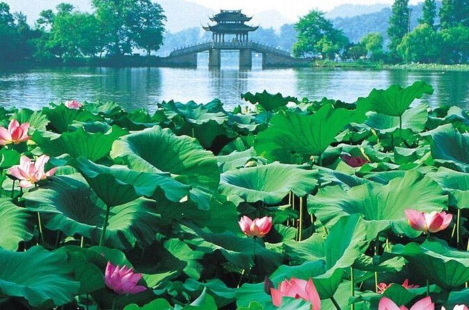 Day Tour of Picturesque Hangzhou - Final Takeaway