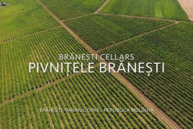 Day Tour: Old Orhei Monasteries Complex with Brneti Cellar - Who Should Consider This Tour?