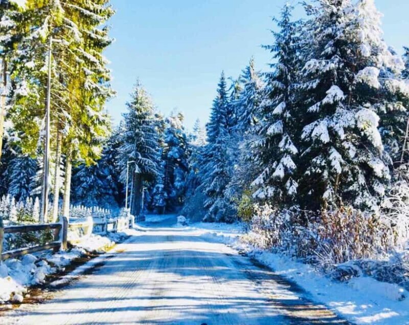 Day Tour: Ski Borovets & Relax in Thermal Pools and Sauna - Experience the Best of Bulgaria in a Day: Ski Borovets & Relax in Thermal Pools