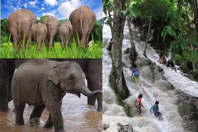 Day Tour Small Group Elephant Sanctuary and Fun Sticky Waterfall - Key Points