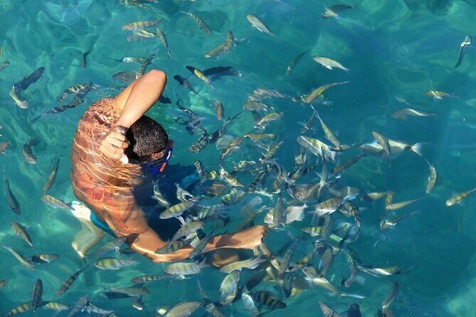 Day Tour to Angra dos Reis and Ilha Grande - Who Will Love This Tour?