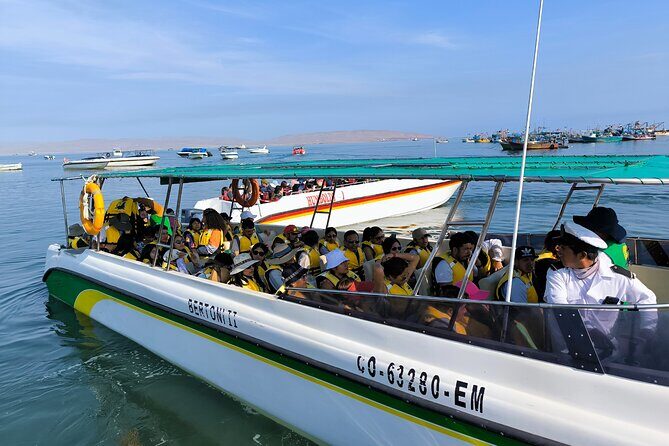 Day Tour to Ballestas Islands and Huacachinca Ica Desert - FAQ