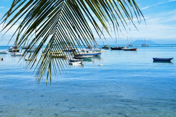 Day tour to Buzios - Who Should Consider This Tour?