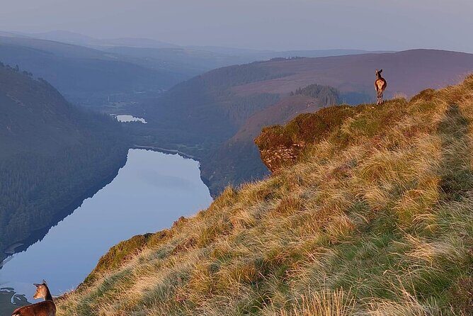 Day Tour to County Wicklow - FAQs