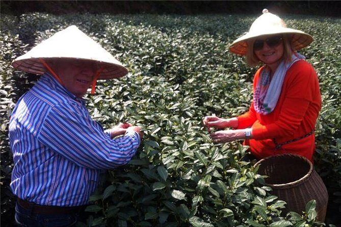 Day Tour to Discover the Secrets of Hangzhou's Tea Culture - Limitations & Considerations