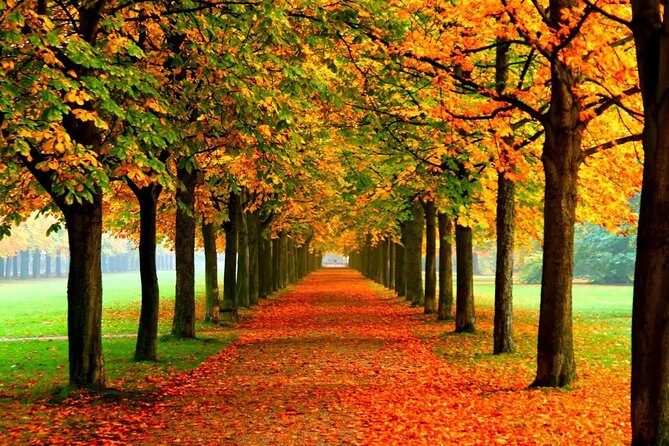 Day Tour to Gangchon Rail Bike Nami Island and Petite France - The Itinerary in Detail: What to Expect at Each Stop