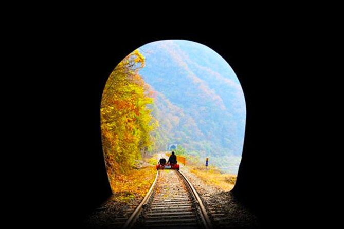 Day Tour to Gangchon Rail Bike Nami Island and Petite France - FAQ
