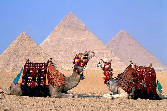 Day Tour to Giza Pyramids, The National Museum Of Egyptian Civilization & Bazzar - The Giza Pyramids and Sphinx: Monumental Marvels