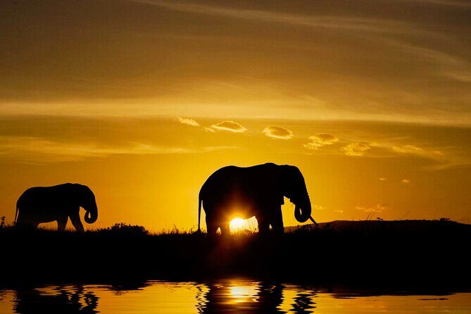 Day tour to Minneriya National Park,Sigiriya & Dambulla from Kandy - Authenticity and Tips from Travelers