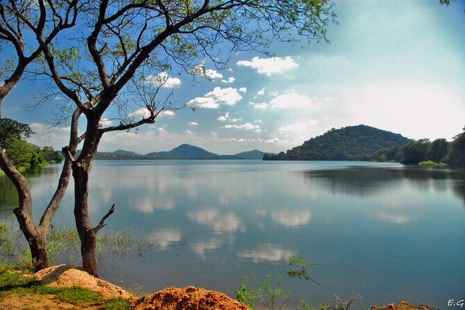 Day tour to Minneriya National Park,Sigiriya & Dambulla from Kandy - Who Will Love This Tour?
