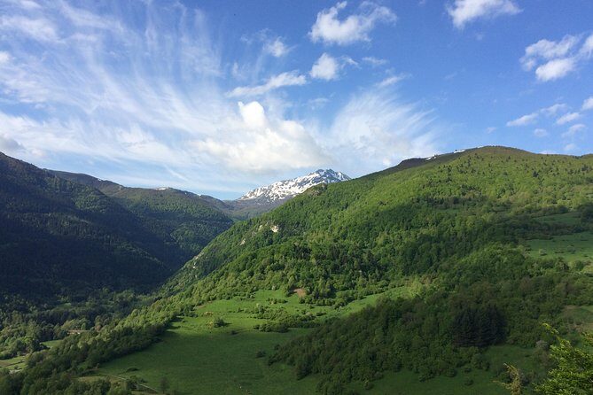 Day Tour to Mirepoix, Montségur, Camon. Private tour from Carcassonne - Why This Tour Delivers Value