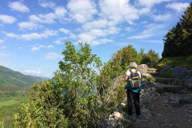 Day Tour to Mirepoix, Montségur, Camon. Private tour from Carcassonne - Frequently Asked Questions