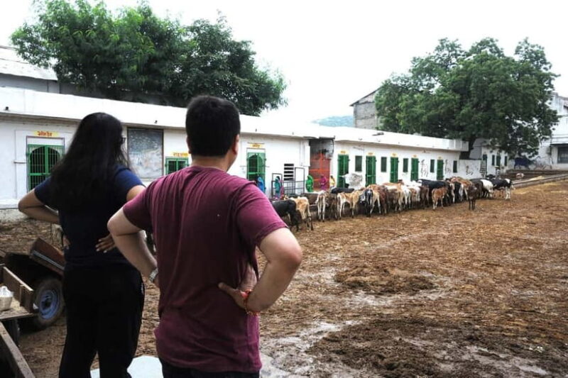 Day Tour to Nathdwara, Eklingji & Haldighati from Udaipur - Key Points