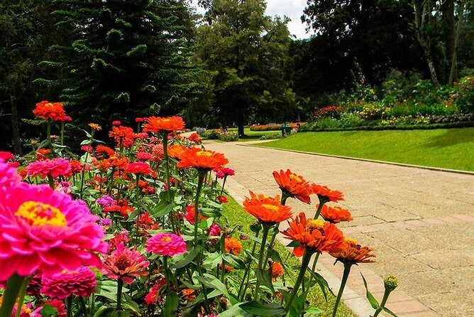 Day Tour to Nuwara Eliya from Kandy by Lux Tours Lanka - In-Depth Look at the Tour Experience