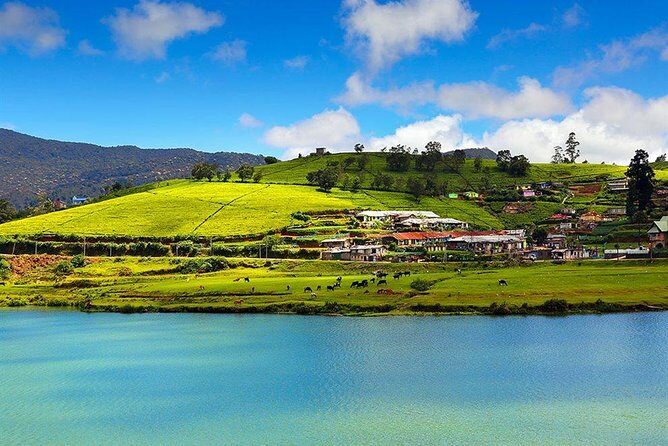 Day Tour to Nuwara Eliya from Kandy by Lux Tours Lanka - Authentic Experiences and Local Flavor