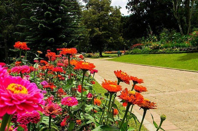 Day Tour to Nuwara Eliya from Kandy by Lux Tours Lanka - Practical Considerations