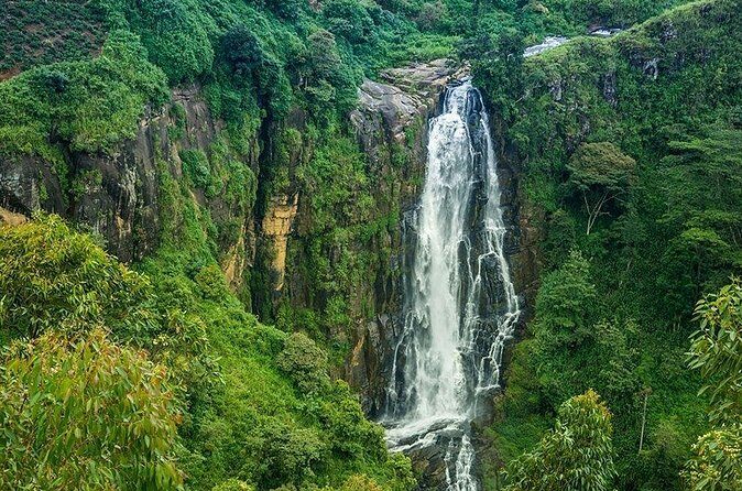 Day Tour to Nuwara Eliya from Kandy by Lux Tours Lanka - Who Will Love This Tour