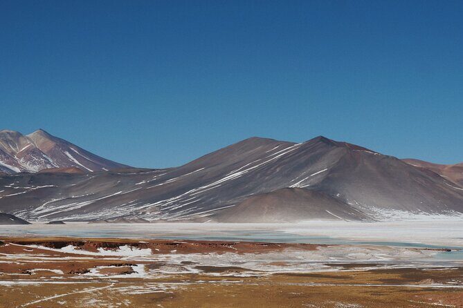 Day Tour to Piedras Rojas and Altiplanic and Chaxa Lagoons - An In-Depth Look at the Tour Experience