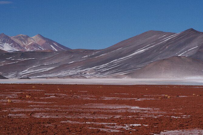 Day Tour to Piedras Rojas and Altiplanic and Chaxa Lagoons - Key Points