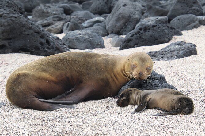 Day tour to San Cristobal Island with private Land Tour and snorkeling - Analyzing the Value