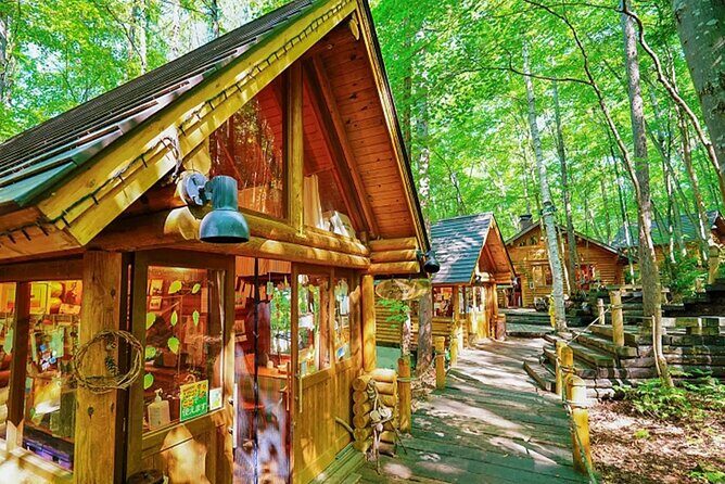 Day tour to Shikisai-no-oka, Asahiyama Zoo, Blue Pond | Sapporo - A Well-Balanced Day of Wildlife, Nature, and Enchantment in Sapporo