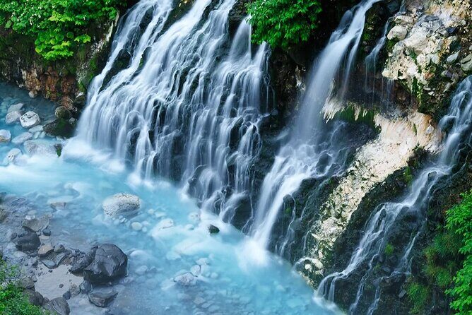 Day tour to Shikisai-no-oka, Asahiyama Zoo, Blue Pond | Sapporo - Key Points