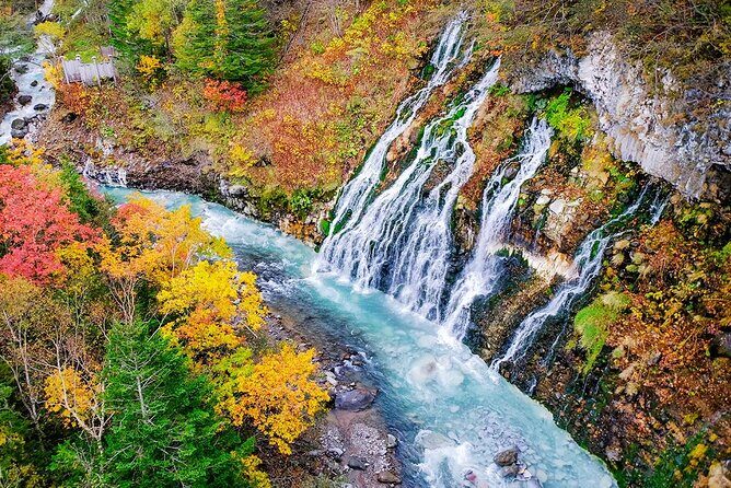 Day tour to Shikisai-no-oka, Asahiyama Zoo, Blue Pond | Sapporo - Who Would Enjoy This Tour?