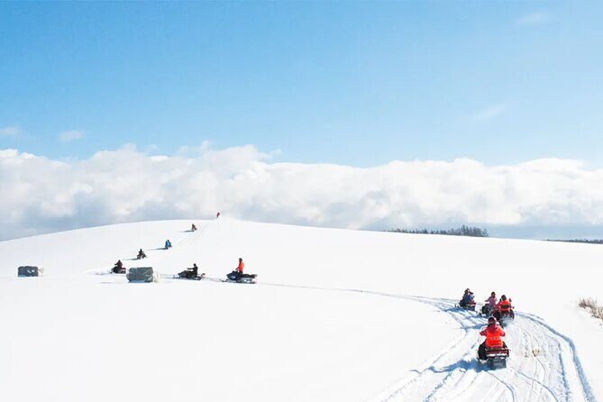 Day tour to Shikisai-no-oka, Asahiyama Zoo, Blue Pond | Sapporo - Final Thoughts: A Great Way to See Hokkaido’s Highlights