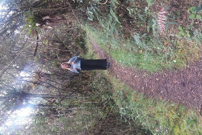 Day Tour to the Cajas National Park & Hosteria Dos Chorreras - The Sum Up