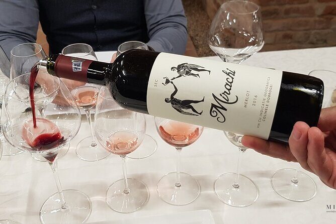 Day Tour: Visit Histria Winery and Ancient Citadel - A Deep Dive into Romanias Past and Present: Visiting Histria and Its Winery