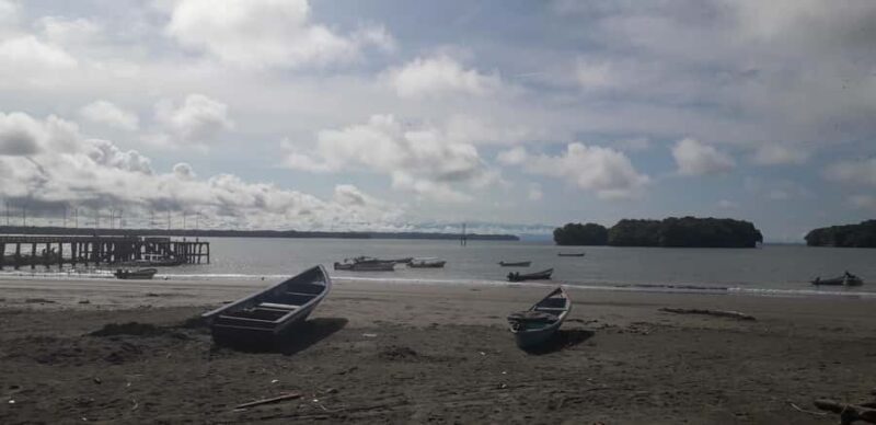 Day Tour Whale Watching from Cali - Sundays - - The Itinerary in Detail: What You Can Expect