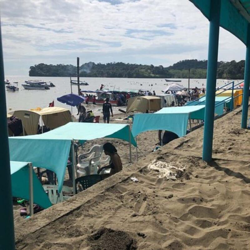 Day Tour Whale Watching from Cali - Sundays - - What to Keep in Mind