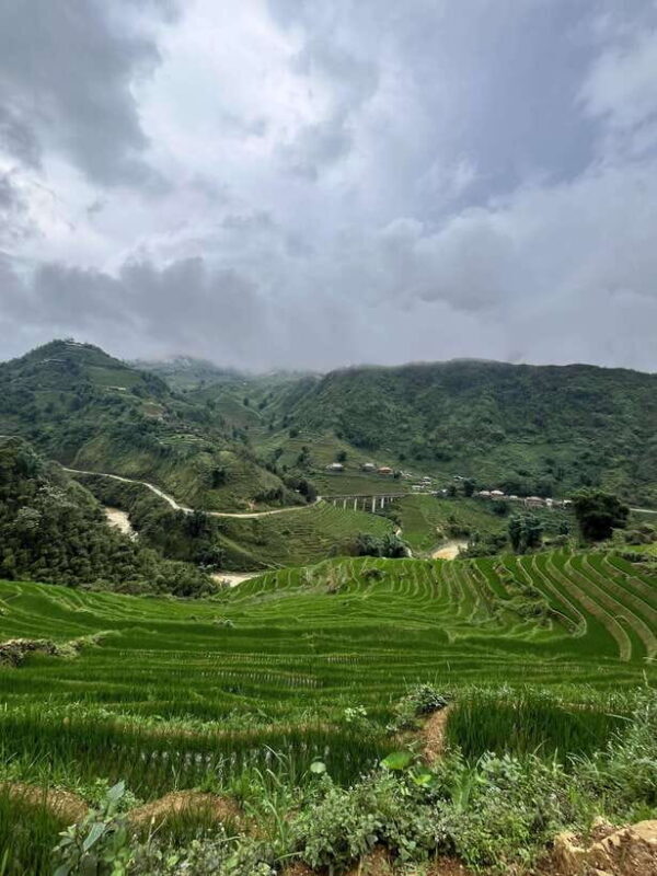 Day Tour with herbal bath with Co:Red Dao Cultural Immersion - Key Points