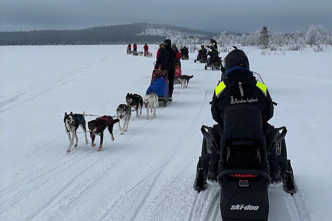 Day tour with snowmobile in Kiruna 10:30 am - Wildlife and Scenic Views