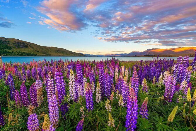 Day Tours from Mount Cook - The Sum Up